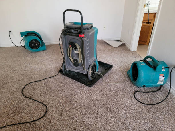 Best Water damage restoration insurance claims  in Scenic, AZ