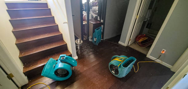 Best Carpet water damage restoration  in Scenic, AZ