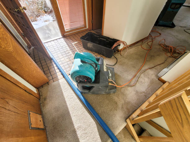 Best 24-hour water damage restoration  in Scenic, AZ