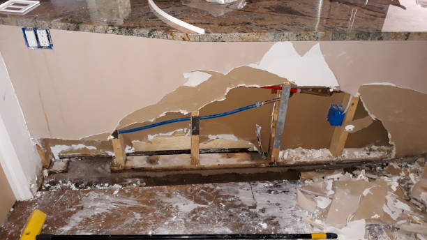Best Basement water damage restoration  in Scenic, AZ