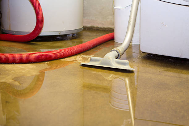 Best Flood damage cleanup  in Scenic, AZ