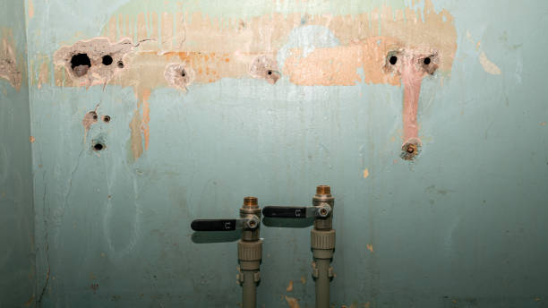 Best Basement water damage restoration  in Scenic, AZ