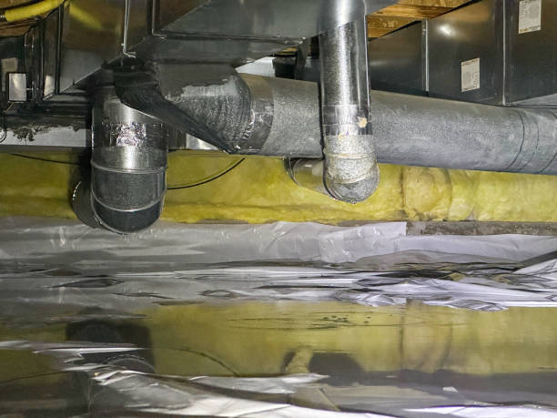 Best Water damage restoration company  in Scenic, AZ