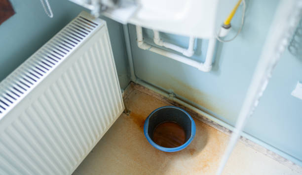 Best Professional water damage repair  in Scenic, AZ