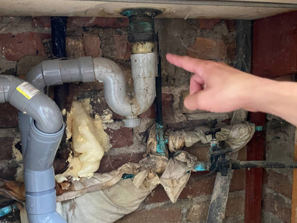 Best Flooded house restoration  in Scenic, AZ