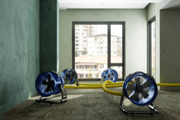 , AZ Water damage restoration Company